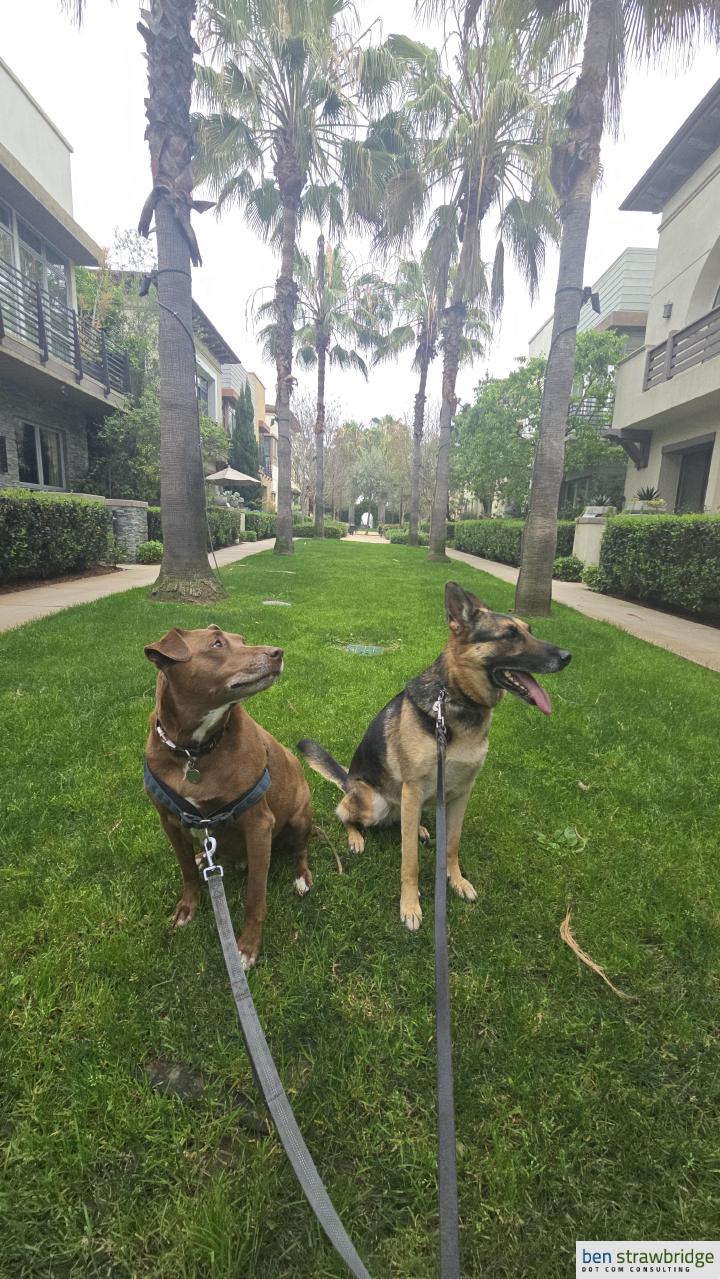 Hammock Lane, tucked between condo rows